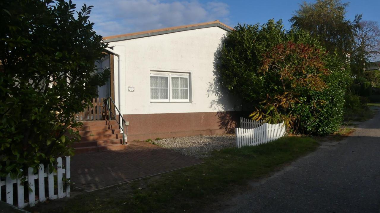 Gemuetliche Ferienwohnung Am Suedperd In 티소브 외부 사진